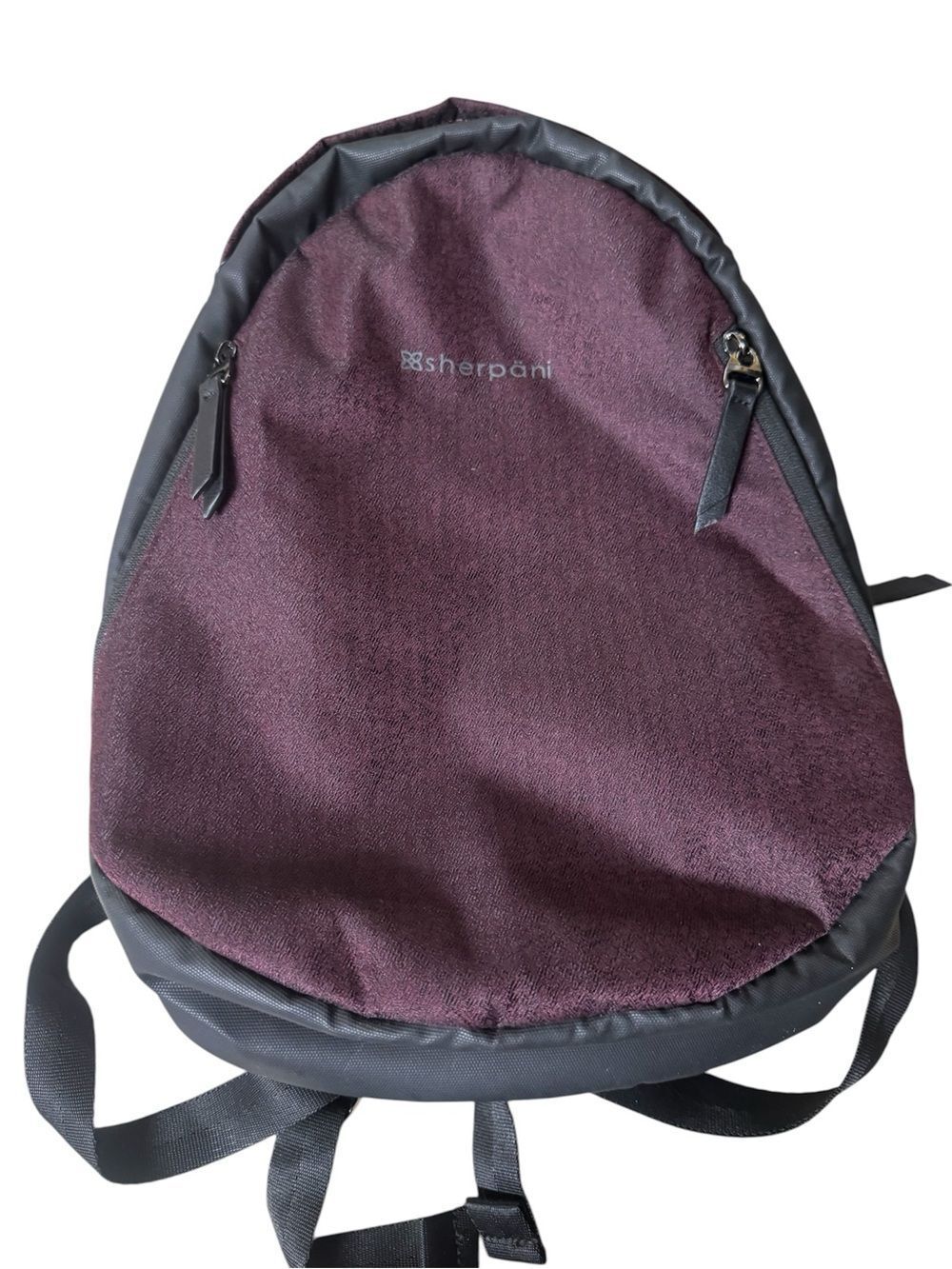 Sherpani anti theft travel backpack